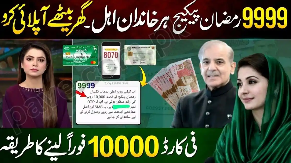 9999 Program Online Verification – Step-by-Step Status Checking Guide