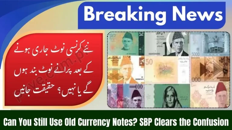Can Old Currency Notes Be Used After New Notes Launch? SBP Answer