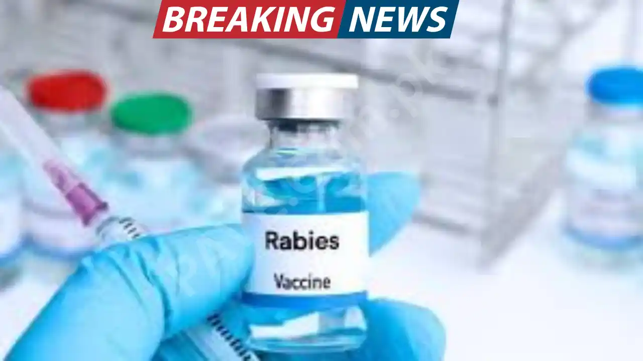 Sindh Plans Major Upgrade of 300 Rabies Treatment Centers