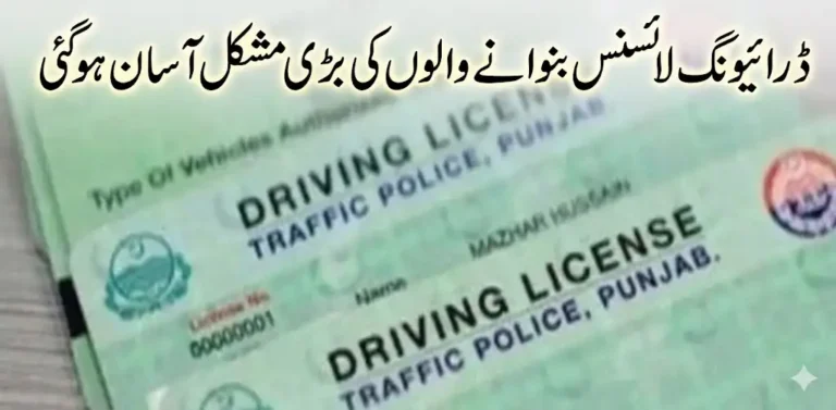 Driving License Process Made Easy in Punjab Virtual License 2026