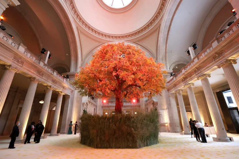 Hyderabad Museum Lawn Used for Private Events, Govt Orders Immediate Halt