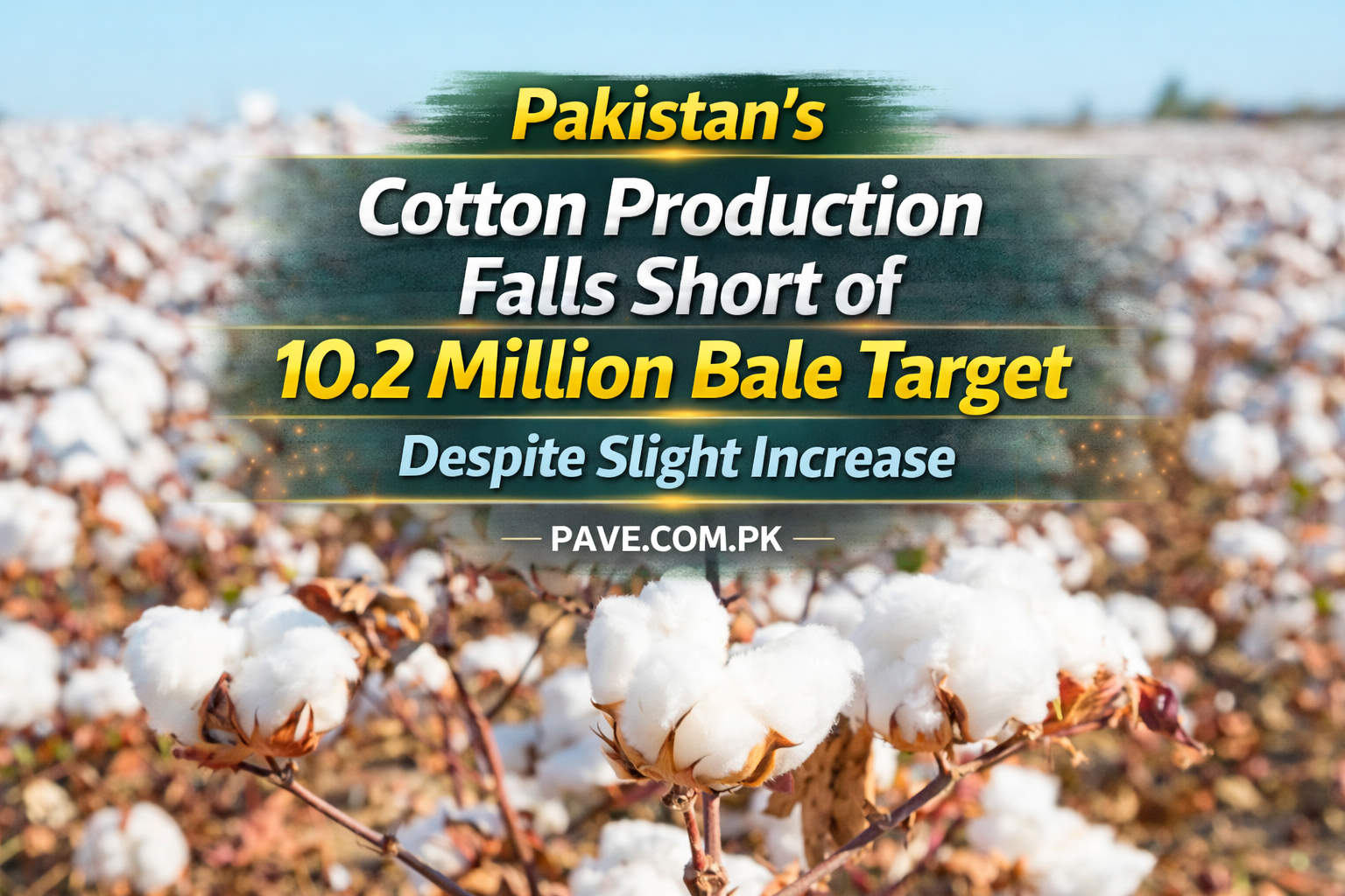 Pakistan’s Cotton Production Falls Short of 10.2 Million Bale Target Despite Slight Increase 1 Pakistans Cotton Production Falls Short of 10.2 Million Bale Target Despite Slight Increase