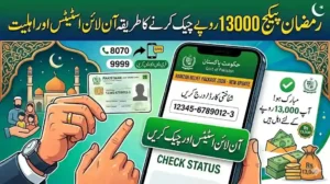 رمضان پیکج 13000 روپے چیک کرنے کا طریقہ آن لائن اسٹیٹس اور اہلیت 5 رمضان پیکج 13000 روپے چیک کرنے کا طریقہ آن لائن اسٹیٹس اور اہلیت